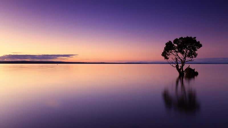 Sunset Overlook